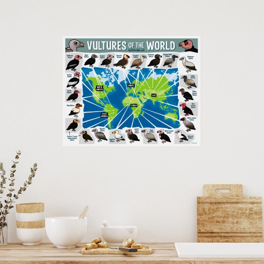 Vulturen van de Wereldkaart Poster (Keuken)