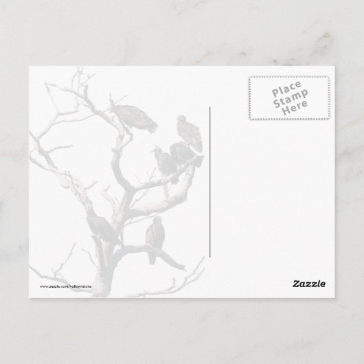 Vultures Briefkaart (Achterkant)