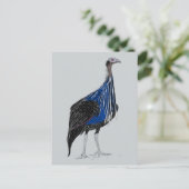 Vulturine Guineafowl Briefkaart (Staand voorkant)