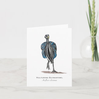 Vulturine Guineafowl gevouwen noot Kaart