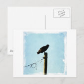 Vultuur Briefkaart (Voorkant / Achterkant)