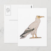 Vultuur Briefkaart (Voorkant / Achterkant)