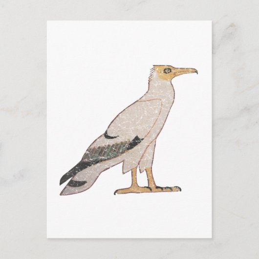 Vultuur Briefkaart (Voorkant)