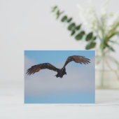 Vultuur Briefkaart (Staand voorkant)