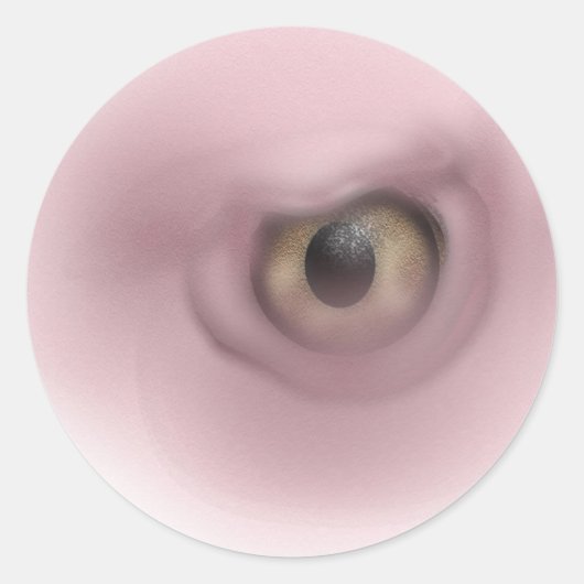Vultuur oog ronde sticker (Voorkant)