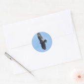 Vultuur ornithologie ronde sticker (Envelop)