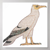 Vultuur Poster (Voorkant)