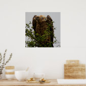 Vultuur Poster (Keuken)