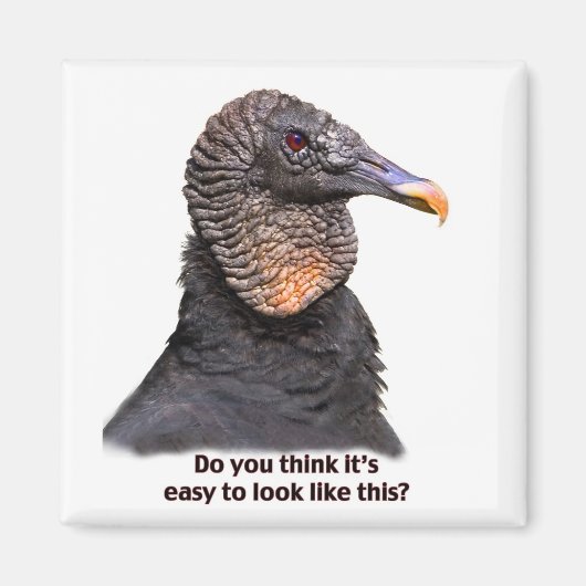 Vultuurmagneet Magneet (Voorkant)