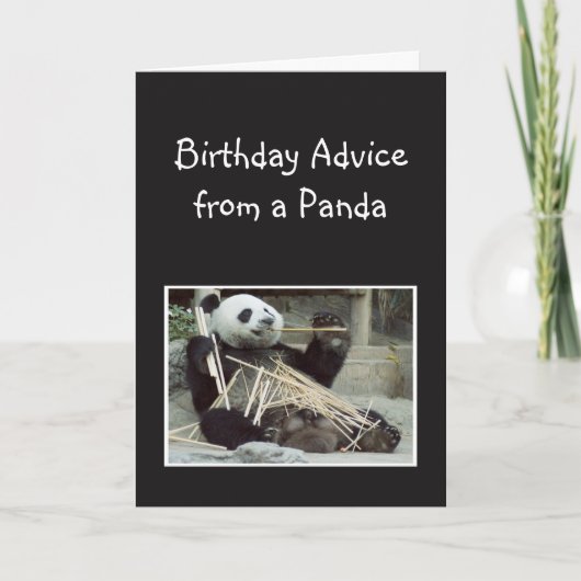 Vun Birthday-advies van Panda Beer Animal Humor Kaart (Voorkant)
