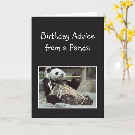 Vun Birthday-advies van Panda Beer Animal Humor Kaart (Gele Bloem)