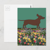 Vun Briefkaarten met Dachshund en Vloerveld (Voorkant / Achterkant)
