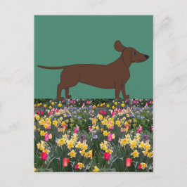 Vun Briefkaarten met Dachshund en Vloerveld