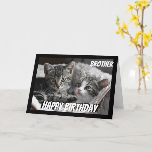 Vun hart voor hart Broer Birthday Cat Animal Kaart (Gele Bloem)