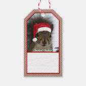 Vun Santa Squirrel Wearing Santa Hat Cadeaulabel (Voorkant)
