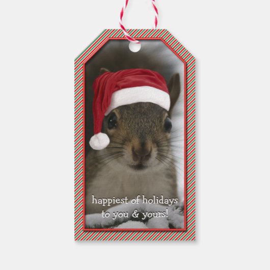 Vun Santa Squirrel Wearing Santa Hat Cadeaulabel (Achterkant)