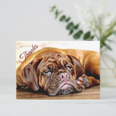 Vun Slaapend Grumpy Dog Pet Animal Bedankt (Staand voorkant)