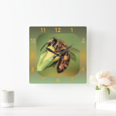 Vun Sluiten van bijenpolen mandje op gele bloem Vierkante Klok (Huis)