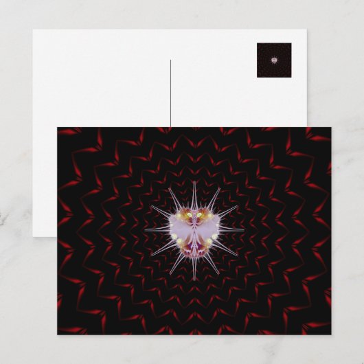 VURI Bug Briefkaart (Voorkant / Achterkant)