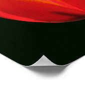 Vurig Oranje Gele Tulp Bloem Close Up Poster (Hoek)