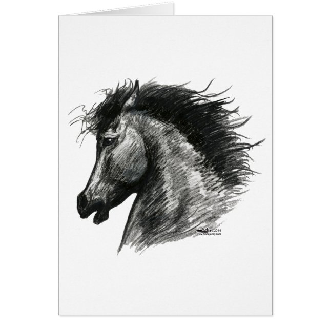 Vurig Wild Paard (Voorkant)