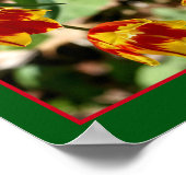 Vurige rode en gele tulpenbloemen Abstract Poster (Hoek)
