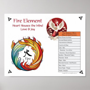 Vuur Element Acupunctuur Poster