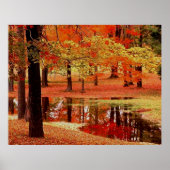 Vuur en regen poster (Voorkant)