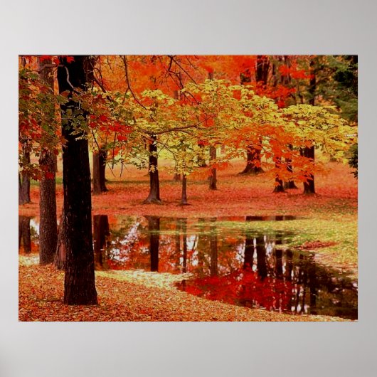 Vuur en regen poster (Voorkant)