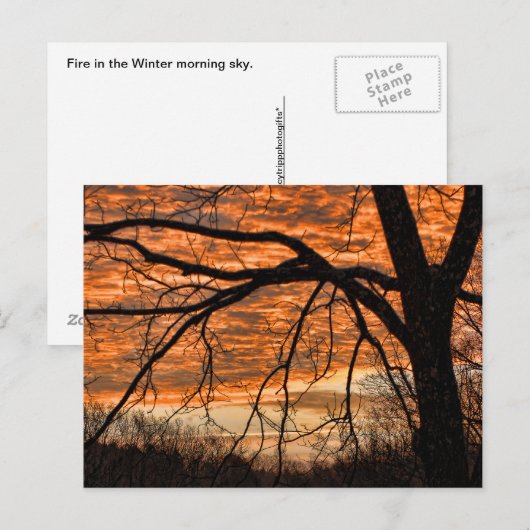 Vuur in de winterochtend briefkaart (Voorkant / Achterkant)