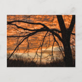 Vuur in de winterochtend briefkaart (Voorkant)