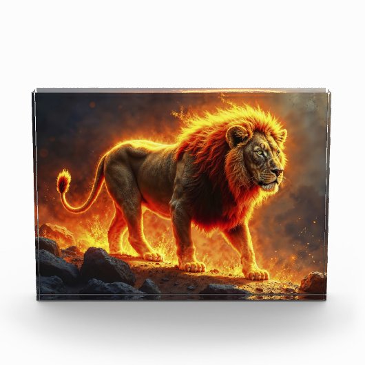 Vuur Leeuw helse landschap vlammende manen kunst Fotoblokken (Voorkant)
