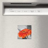 Vuur op bloemblaadjes magneet (Insitu (Vaatwasser))