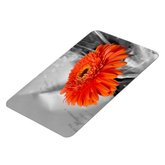 Vuur op bloemblaadjes magneet (Linkerzijde)