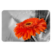 Vuur op bloemblaadjes magneet (Horizontaal)