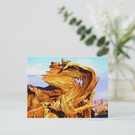 Vuur op de Mtn Briefkaart (Staand voorkant)