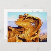 Vuur op de Mtn Briefkaart (Voorkant / Achterkant)