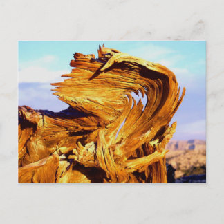 Vuur op de Mtn Briefkaart