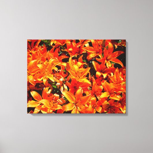 Vuur Oranje Lily Flower Canvas Afdruk (Voorkant)