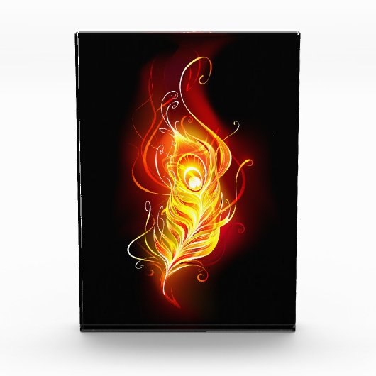 Vuur Pauwveer Fotoblokken (Voorkant)