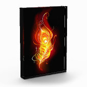 Vuur Pauwveer Fotoblokken (Links)