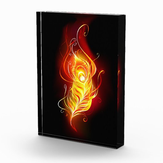 Vuur Pauwveer Fotoblokken (Rechts)