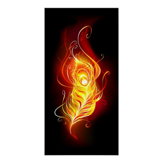 Vuur Pauwveer Perfect Poster (Voorkant)