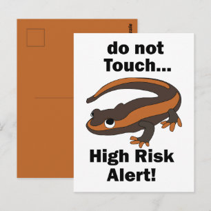 Vuur Salamander Niet Aanraken Hoog Risico Waarschu Briefkaart