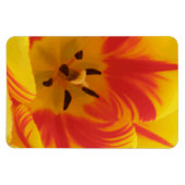 Vuur Tulpen Premium Magneet (Horizontaal)