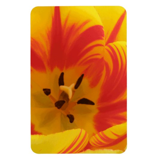 Vuur Tulpen Premium Magneet (Verticaal)