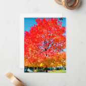 Vuur van het leven, helder, kleurrijk, boom in de  notitiekaartje (Voorkant / Achterkant in situ)