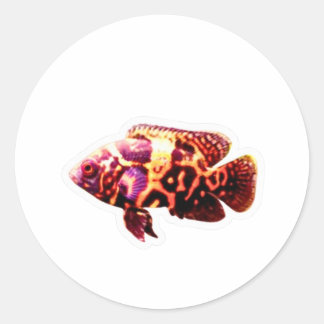 Vuurachtige Tijger Oscar Vis Sticker, Exotisch Aqu Ronde Sticker