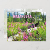 Vuurbloemen in Matanuska Valley, Alaska Briefkaart (Voorkant / Achterkant)