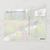 Vuurbloemen in Matanuska Valley, Alaska Briefkaart (Achterkant)